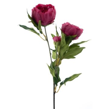 Rama de peonía artificial THEMIA, violeta oscuro, 65 cm Rama de peonía artificial THEMIA, violeta oscuro, 65 cm