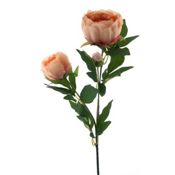 Rama de peonía artificial THEMIA, color melocotón, 65 cm Rama de peonía artificial THEMIA, color melocotón, 65 cm