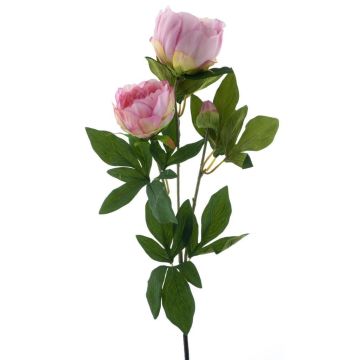 Rama de peonía artificial THEMIA, rosa, 65 cm Rama de peonía artificial THEMIA, rosa, 65 cm