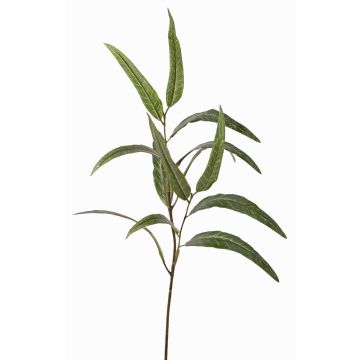 Rama de eucalipto sintética SEMA, verde, 70cm