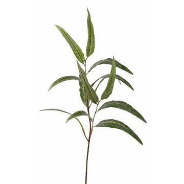 Rama de eucalipto artificial SEMA, verde, 70 cm