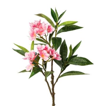 Rama artificial de frangipani DRIFEN, rosa, 110 cm Rama artificial de frangipani DRIFEN, rosa, 110 cm