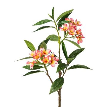 Rama artificial de frangipani DRIFEN, amarillo-rosa, 110 cm Rama artificial de frangipani DRIFEN, amarillo-rosa, 110 cm