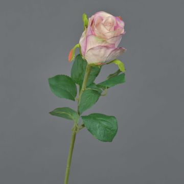 Flor decorativa rosa KLONI, rosa-crema, 50 cm, Ø 5,5 cm Flor decorativa rosa KLONI, rosa-crema, 50 cm, Ø 5,5 cm