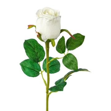 Flor decorativa rosa KLONI, blanca, 50cm, Ø5,5cm Flor decorativa rosa KLONI, blanca, 50cm, Ø5,5cm