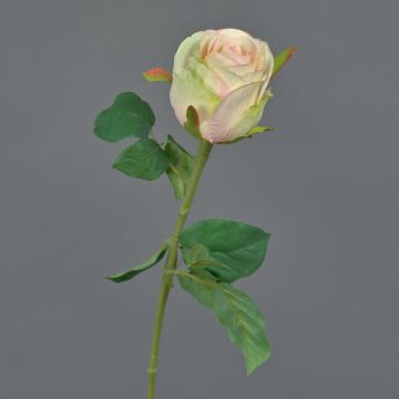 Flor decorativa rosa KLONI, verde-melocotón-rosa, 50cm, Ø5,5cm Flor decorativa rosa KLONI, verde-melocotón-rosa, 50cm, Ø5,5cm