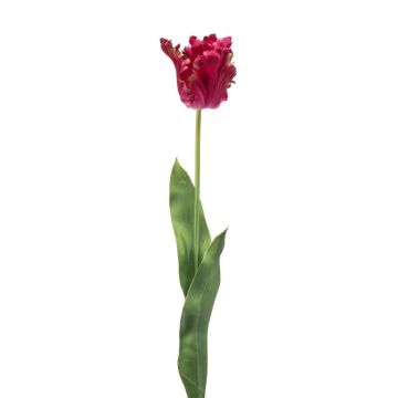 Tulipán artificial tipo «loro» LUNIA, rosa, 70 cm Tulipán artificial tipo «loro» LUNIA, rosa, 70 cm