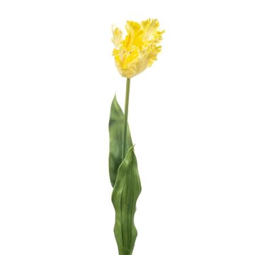 Tulipán «loro» artificial LUNIA, amarillo claro, 70 cm Tulipán «loro» artificial LUNIA, amarillo claro, 70 cm