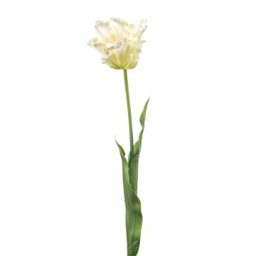 Tulipán «loro» artificial LUNIA, blanco y verde, 70 cm