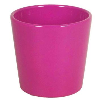 Maceta para orquídeas BANEH, cerámica, fucsia, 12,5cm, Ø13,5cm