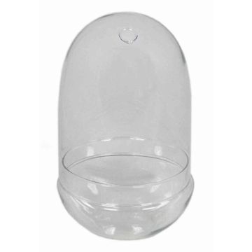 Campana de vidrio JAMAE, transparente, 30cm, Ø17,5cm