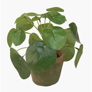 Suculenta artificial «Glückstaler» SYBIL en maceta de terracota, verde, 13 cm