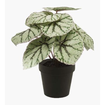 Planta artificial de begonia de hoja MEIRA, verde-gris, 25cm Planta artificial de begonia de hoja MEIRA, verde-gris, 25cm