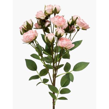 Rama de rosas artificial TOSSA, rosa-crema, 60 cm, Ø 1-4 cm Rama de rosas artificial TOSSA, rosa-crema, 60 cm, Ø 1-4 cm