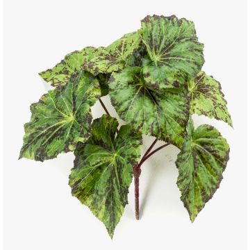 Planta artificial de begonia de hoja MEIRA con soporte, verde y negro, 25cm Planta artificial de begonia de hoja MEIRA con soporte, verde y negro, 25cm