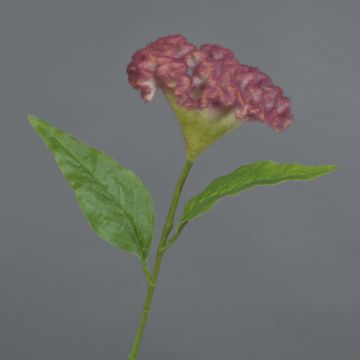 Flor artificial «cresta de gallo» ANUBIS, rosa, 60 cm, Ø 14 cm Flor artificial «cresta de gallo» ANUBIS, rosa, 60 cm, Ø 14 cm