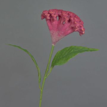 Flor artificial «cresta de gallo» ANUBIS, violeta, 60 cm, Ø 14 cm Flor artificial «cresta de gallo» ANUBIS, violeta, 60 cm, Ø 14 cm