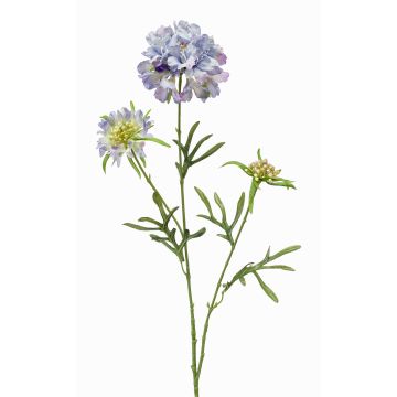 Flor artificial Scabiosa MONTIE, azul-lila, 75 cm, Ø 7-10 cm Flor artificial Scabiosa MONTIE, azul-lila, 75 cm, Ø 7-10 cm