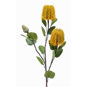 Flor artificial de Banksia robur CONAKIR, amarilla, 70 cm Flor artificial de Banksia robur CONAKIR, amarilla, 70 cm