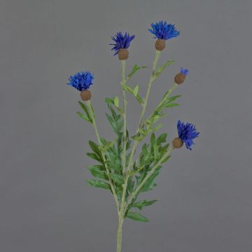 Flor artificial decorativa de aciano ORTIGO, azul, 60 cm, Ø 2-6 cm Flor artificial decorativa de aciano ORTIGO, azul, 60 cm, Ø 2-6 cm
