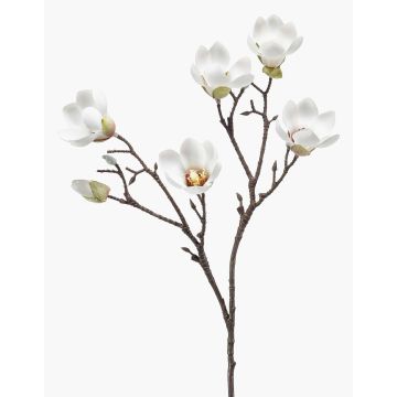 Magnolia artificial ANEU, color crema, 65 cm, Ø 7-8 cm Magnolia artificial ANEU, color crema, 65 cm, Ø 7-8 cm