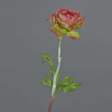 Ranúnculo artificial ELORIO, rosa-verde, 50 cm, Ø 10 cm
