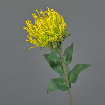 Flor artificial «Protea HERVAS» en forma de alfiletero, amarilla, 70 cm, Ø 12 cm