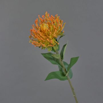 Flor artificial «Protea HERVAS» para alfiletero, naranja, 70 cm, Ø 12 cm Flor artificial «Protea HERVAS» para alfiletero, naranja, 70 cm, Ø 12 cm