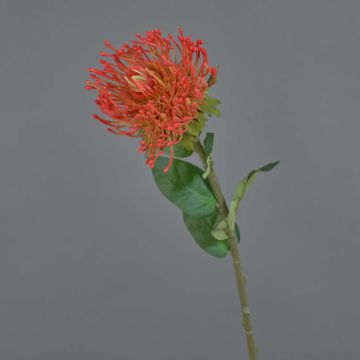 Flor artificial para alfiletero Protea HERVAS, rojo anaranjado, 70 cm, Ø 12 cm