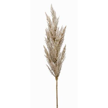 Rama decorativa de hierba de la pampa con espiga BATERNO, color crema, 90 cm Rama decorativa de hierba de la pampa con espiga BATERNO, color crema, 90 cm