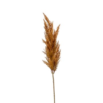 Rama decorativa de hierba de la pampa con espiga BATERNO, marrón, 90 cm Rama decorativa de hierba de la pampa con espiga BATERNO, marrón, 90 cm
