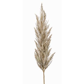 Rama decorativa de hierba de la pampa con espiga BATERNO, color crema, 115 cm Rama decorativa de hierba de la pampa con espiga BATERNO, color crema, 115 cm