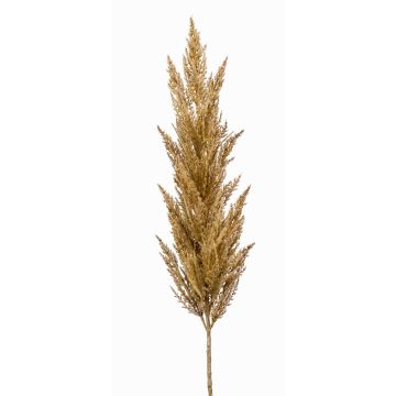 Rama decorativa de hierba de la pampa con espiga BATERNO, marrón claro, 115 cm Rama decorativa de hierba de la pampa con espiga BATERNO, marrón claro, 115 cm