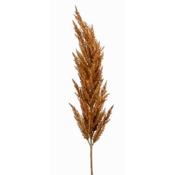 Rama decorativa de hierba de la pampa con espiga BATERNO, marrón, 115 cm Rama decorativa de hierba de la pampa con espiga BATERNO, marrón, 115 cm