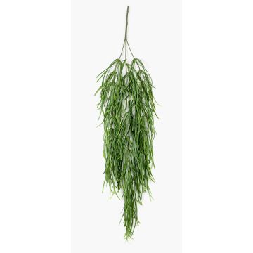 Planta artificial suculenta Rhipsalis colgante TALIGA con varilla, verde, 80cm Planta artificial suculenta Rhipsalis colgante TALIGA con varilla, verde, 80cm