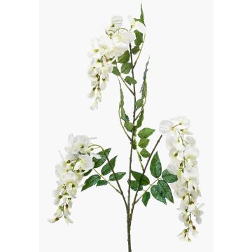 Rama de glicinia artificial ONORATO con flores, color crema, 70 cm Rama de glicinia artificial ONORATO con flores, color crema, 70 cm
