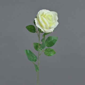 Rosa artificial PEZOS, color crema, 60 cm, Ø 10 cm Rosa artificial PEZOS, color crema, 60 cm, Ø 10 cm