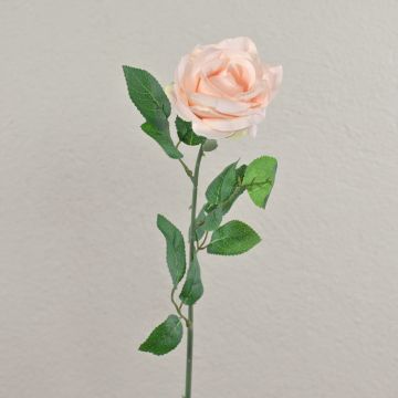 Rosa artificial PEZOS, rosa pálido, 60 cm, Ø 10 cm Rosa artificial PEZOS, rosa pálido, 60 cm, Ø 10 cm