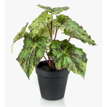 Planta artificial de begonia de hojas MEIRA, verde y negro, 25cm Planta artificial de begonia de hojas MEIRA, verde y negro, 25cm