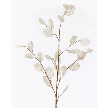 Rama decorativa de lunaria BUELNA, color crema, 105cm Rama decorativa de lunaria BUELNA, color crema, 105cm