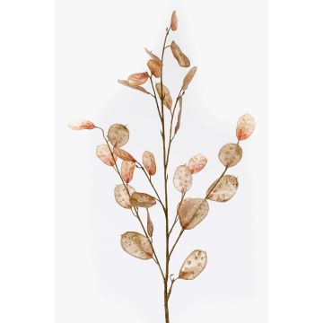 Rama decorativa de lunaria BUELNA, marrón claro, 105cm Rama decorativa de lunaria BUELNA, marrón claro, 105cm