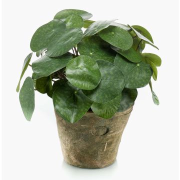 Suculenta artificial «Glückstaler» SYBIL en maceta de terracota, verde, 22 cm Suculenta artificial «Glückstaler» SYBIL en maceta de terracota, verde, 22 cm
