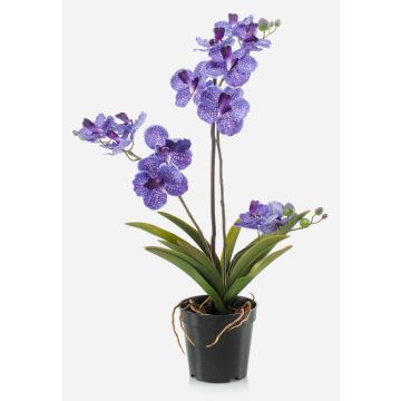 Orquídea Vanda artificial CAMPO, violeta, 60cm Orquídea Vanda artificial CAMPO, violeta, 60cm