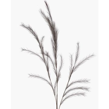 Rama decorativa de hierba pluma con espigas YECORA, gris, 130 cm