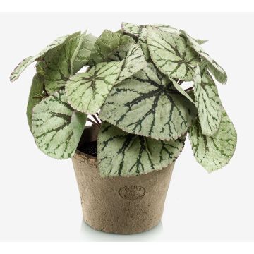 Planta artificial de begonia de hoja MEIRA en maceta de terracota, tupida, verde-gris, 25cm Planta artificial de begonia de hoja MEIRA en maceta de terracota, tupida, verde-gris, 25cm
