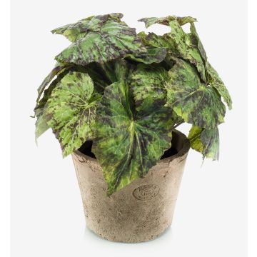 Planta artificial: begonia de hoja MEIRA en maceta de terracota, frondosa, verde-negro, 25cm