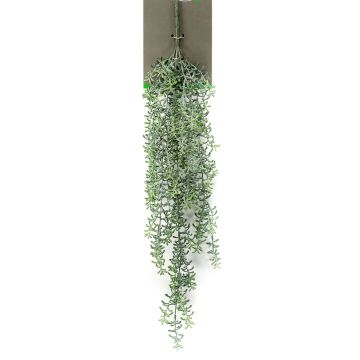 Suculenta artificial Rhipsalis colgante TUREIS, con varilla, verde-gris, 70cm Suculenta artificial Rhipsalis colgante TUREIS, con varilla, verde-gris, 70cm