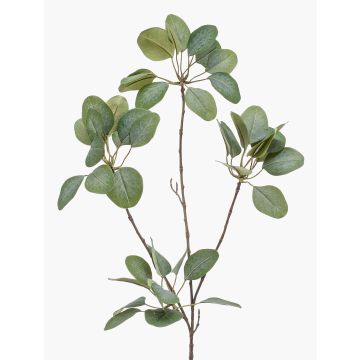 Rama artificial de eucalipto KRISZTOFER, verde, 90 cm Rama artificial de eucalipto KRISZTOFER, verde, 90 cm