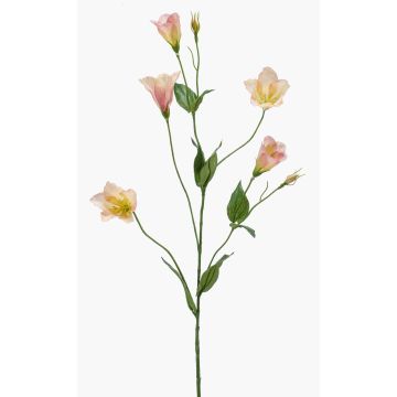Rama artificial de lisianthus PAZAN, rosa-crema, 70 cm, Ø 3-5 cm Rama artificial de lisianthus PAZAN, rosa-crema, 70 cm, Ø 3-5 cm