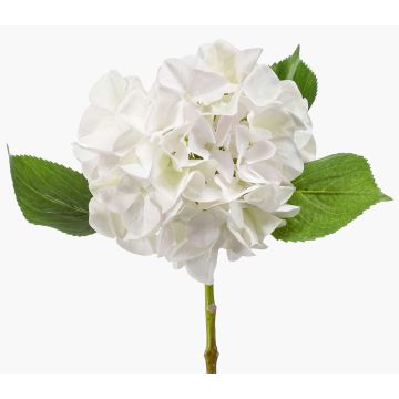Hortensia artificial AMARILDO, blanco-verde, 50 cm, Ø 16 cm Hortensia artificial AMARILDO, blanco-verde, 50 cm, Ø 16 cm